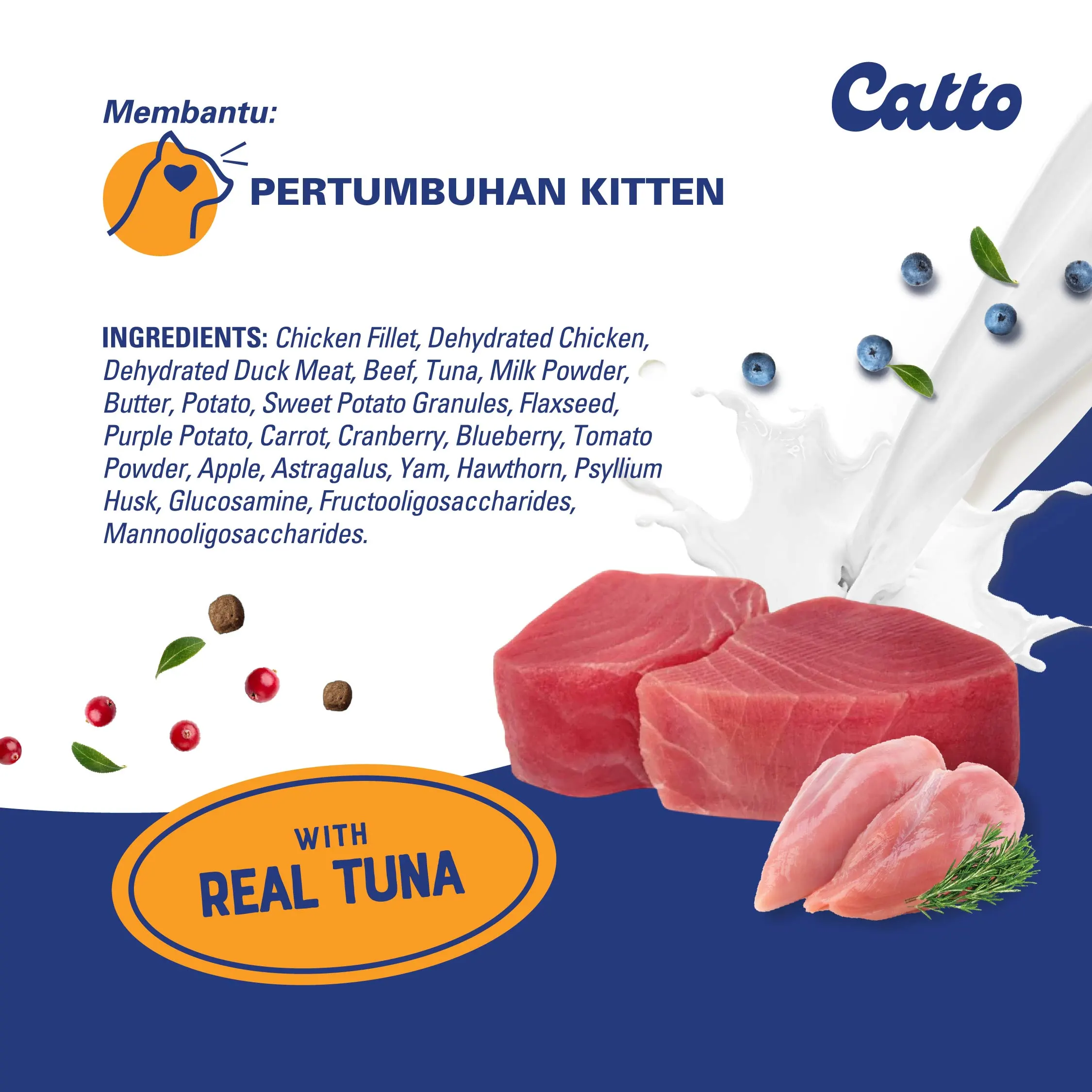 Catto Bawa Berkat