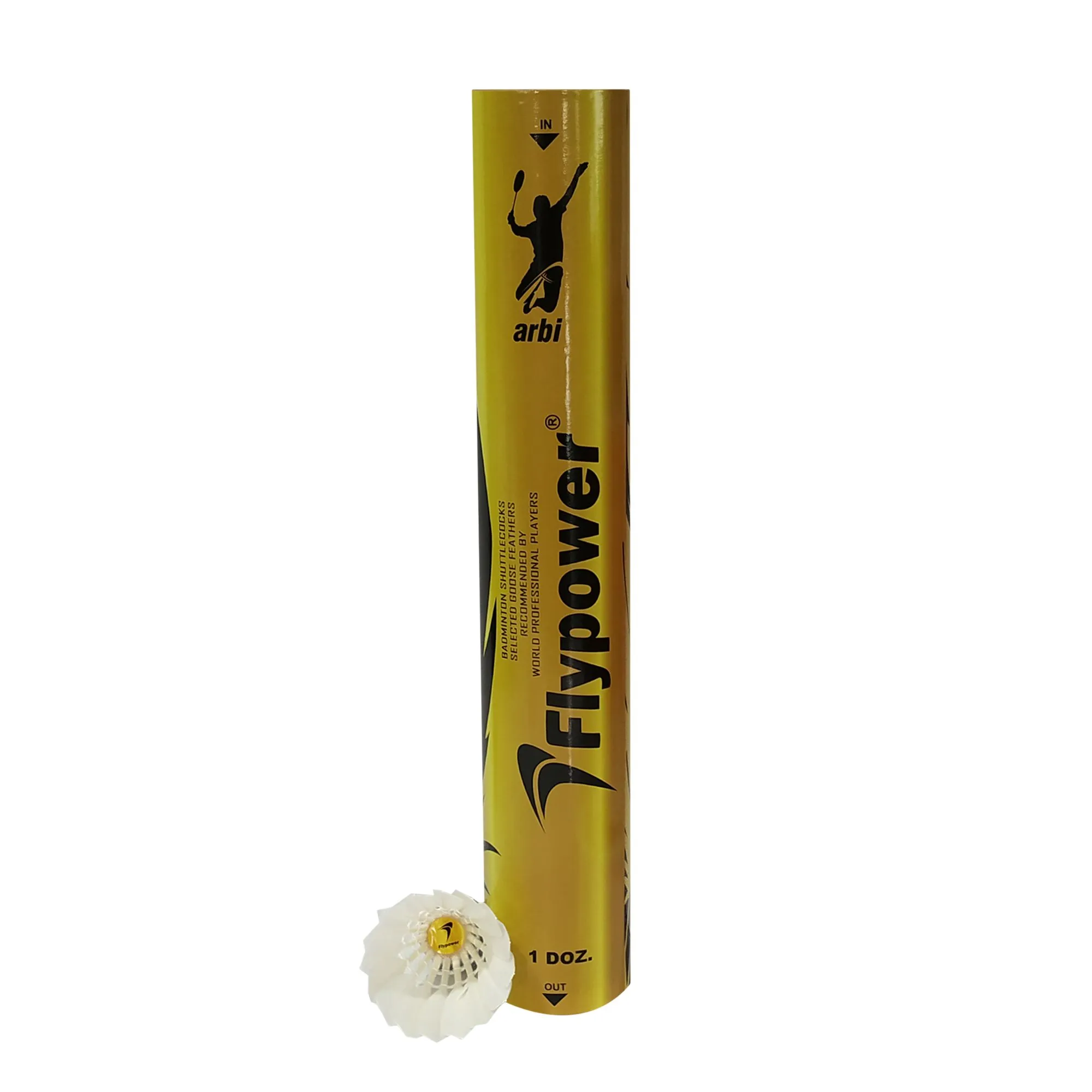 Flypower